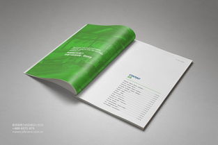 鼎盛企業集團形象畫冊及產品畫冊設計執行方案 構建統一、卓越的企業視覺形象